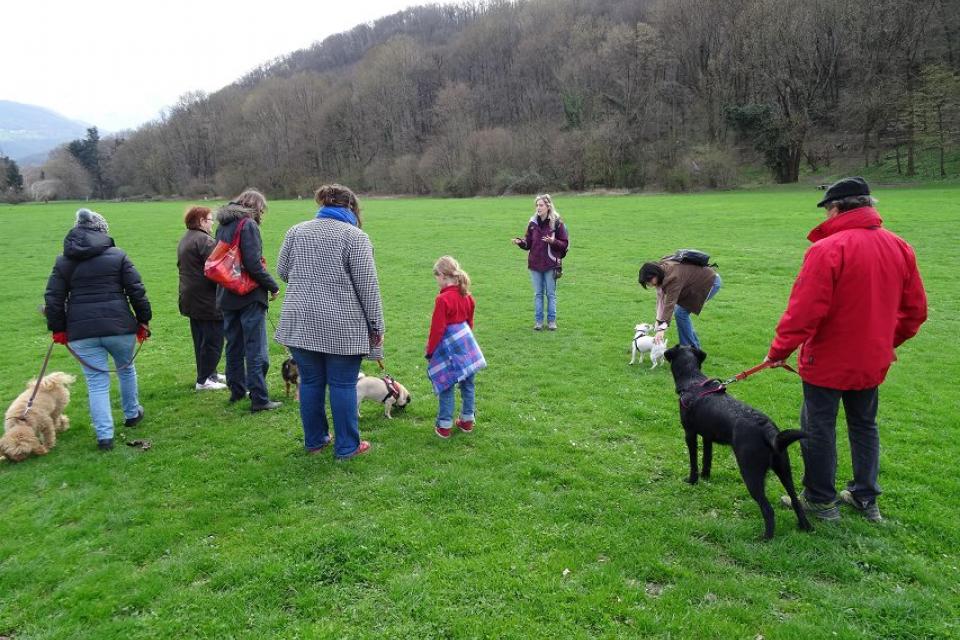 Cours éducation canine 2017 Cours éducation canine 2017