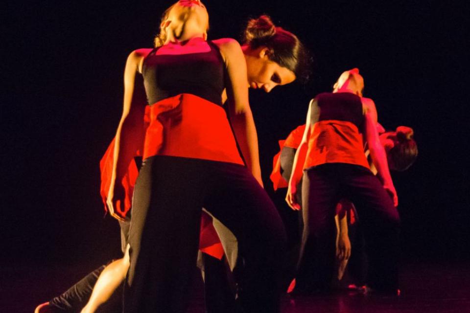 Ideale Danse fête ses 30 ans