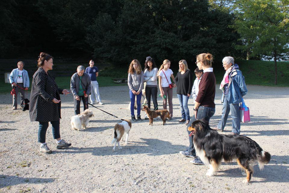 Séance d'éducation canine à la Frange Verte