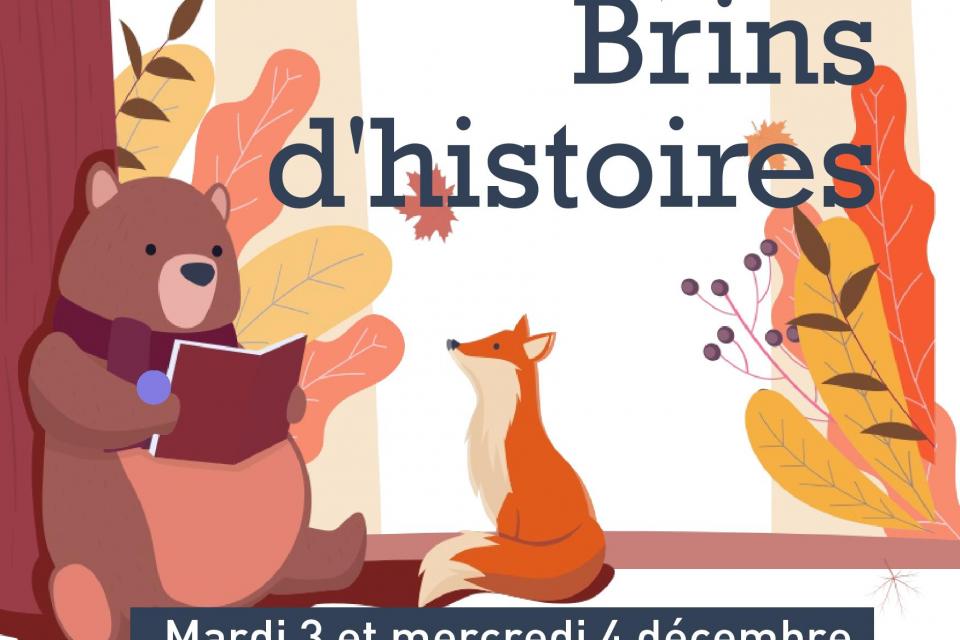 Affiche Brins d'histoires