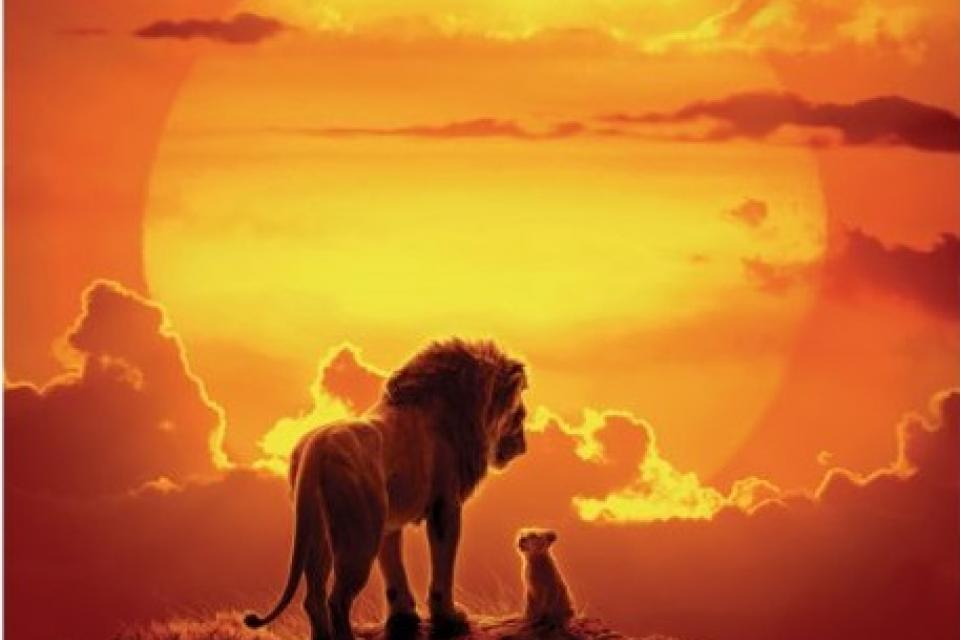 Affiche du film Le roi lion