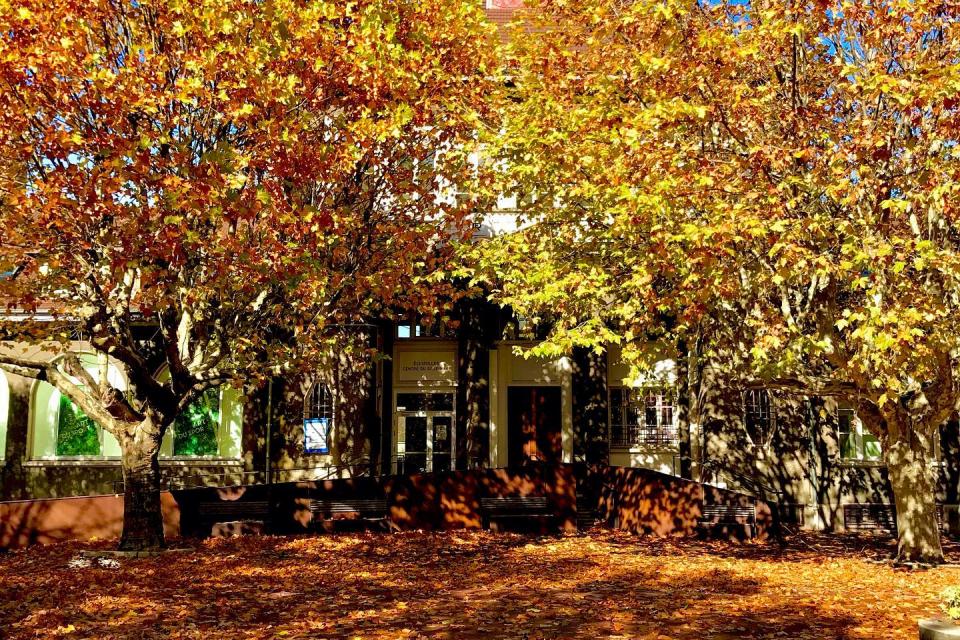 Vue de l'ancienne mairie d'Échirolles. La place est parsemée de feuilles orangées, les arbres ont pris les couleurs d'automne, un mélange de vert, jaune et orange.