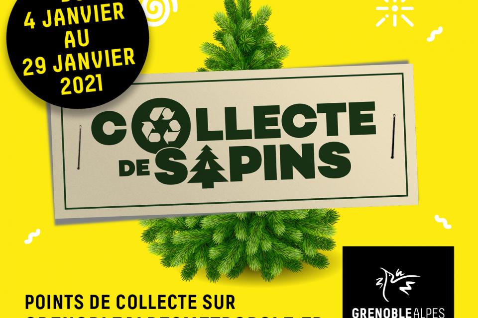 Campagne d'affichage concernant la collecte des sapins de noël. On y voit un sapin, le nom et les dates de la campagne.