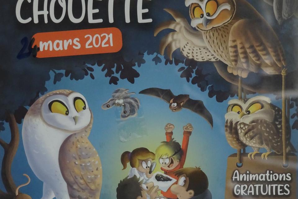 Affiche de la 14e nuit de la chouette Mars 2021