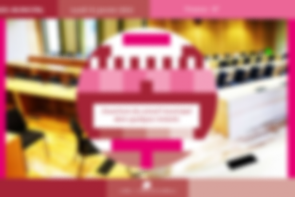 Un aperçu flou de la nouvelle identité visuelle du Conseil Municipal ! Un aperçu flou de la nouvelle identité visuelle du Conseil Municipal