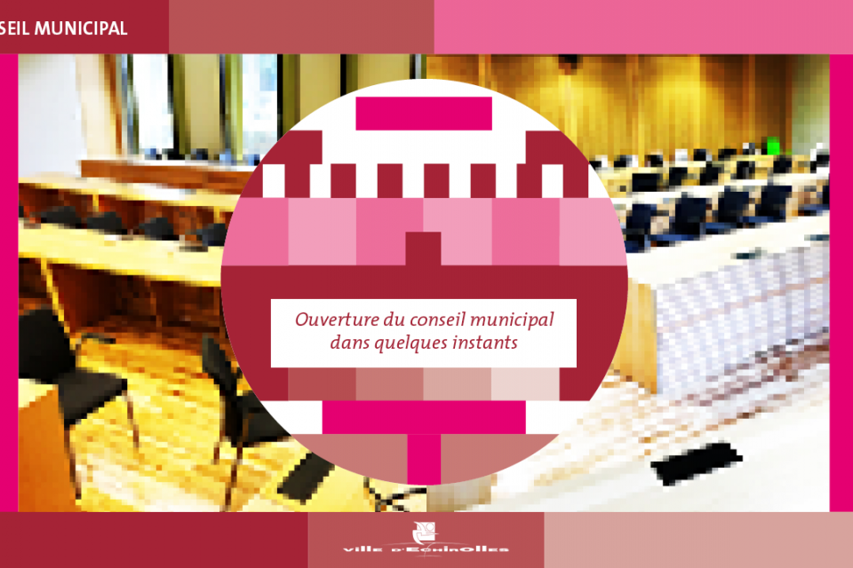 Le Conseil Municipal en Live sur Facebook Capture d'écran de la diffusion du Conseil Municipal