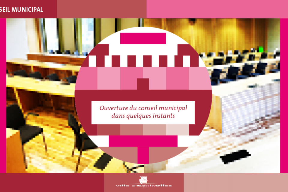 Capture d'écran de la diffusion du Conseil Municipal