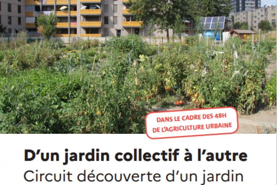 D'un jardin collectif à l'autre : visite ce dimanche 15 mai 2022