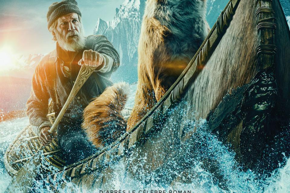 Affiche film l'Appel de la Forêt