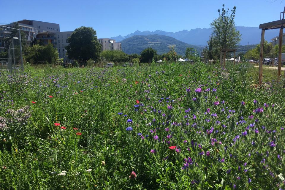 Le parc de la Croix-de-Vérines en fleurs ! Parc de la croix-de-vérines en fleurs