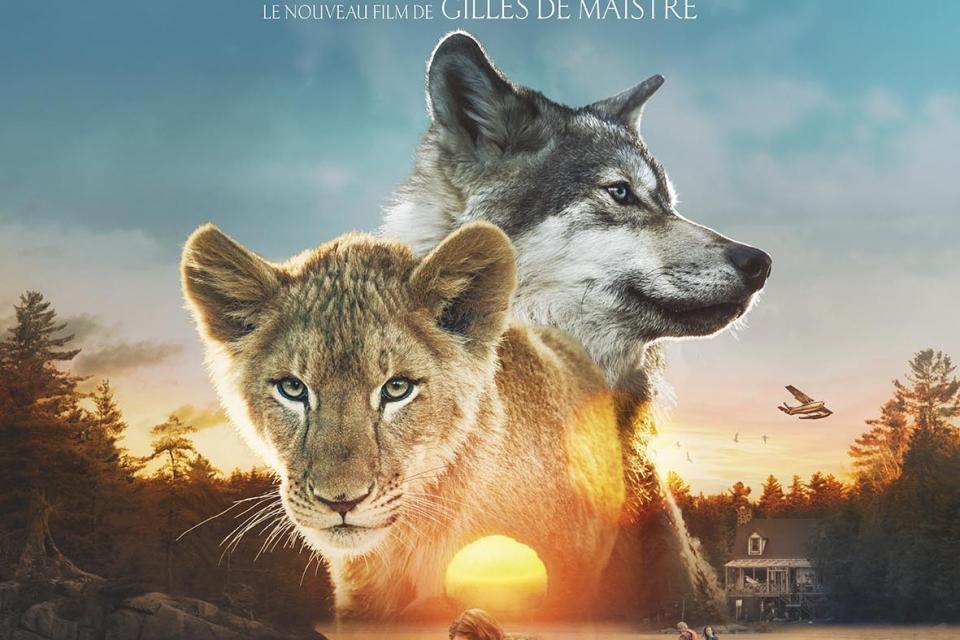 Le loup et le lion