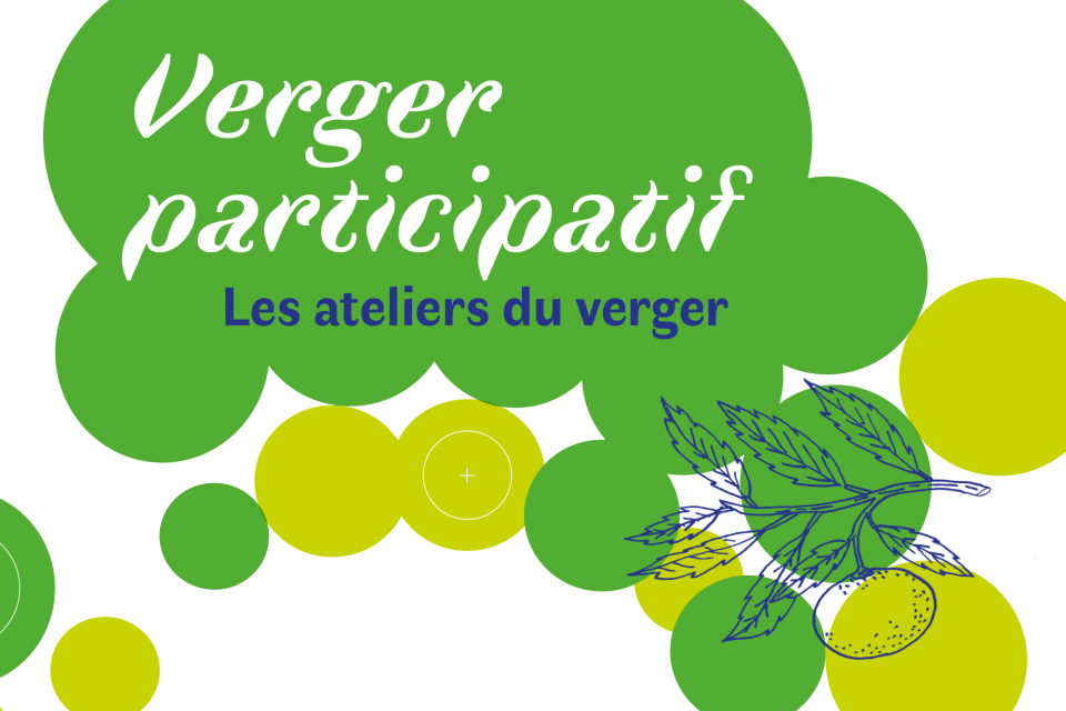 Image agenda pour les Ateliers du Verger, illustration d'une branche d'arbre fruitier