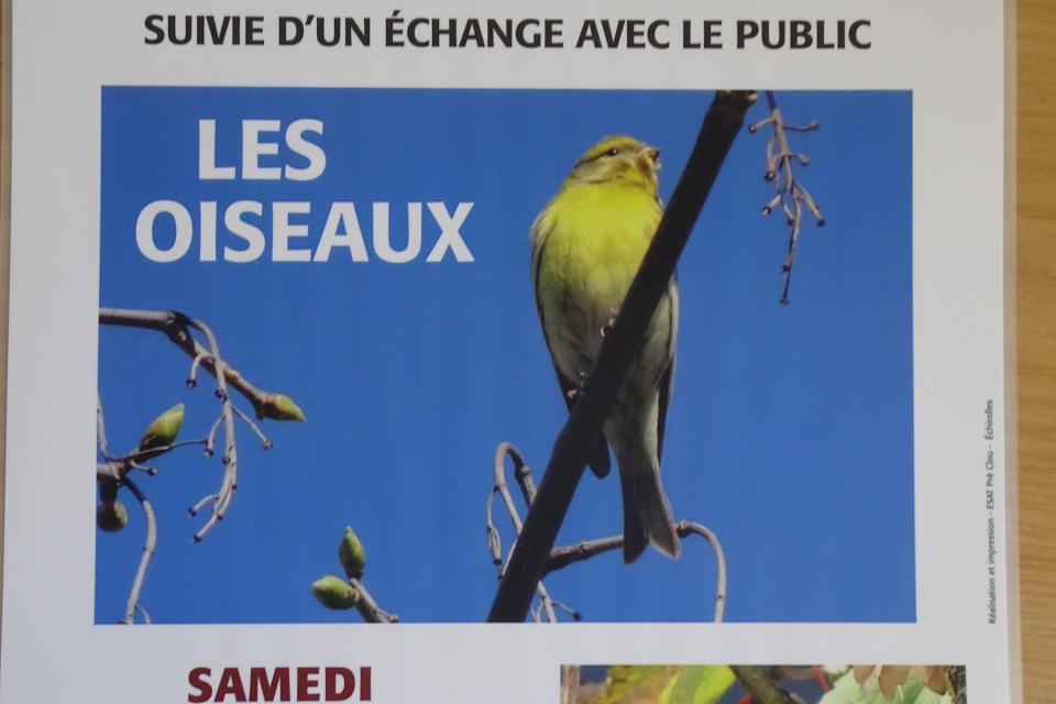 Ligue protection pour les Oiseaux