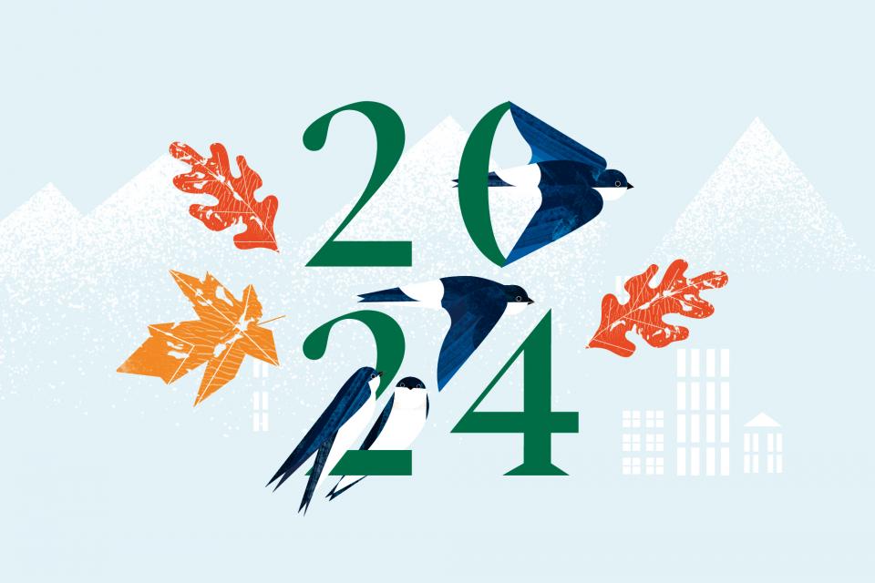 carte de voeux 2024 avec des illustrations d'oiseau