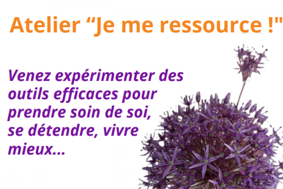 Photo d'une fleur