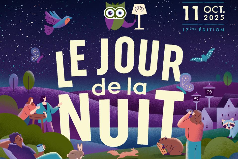 Le jour de la nuit 
