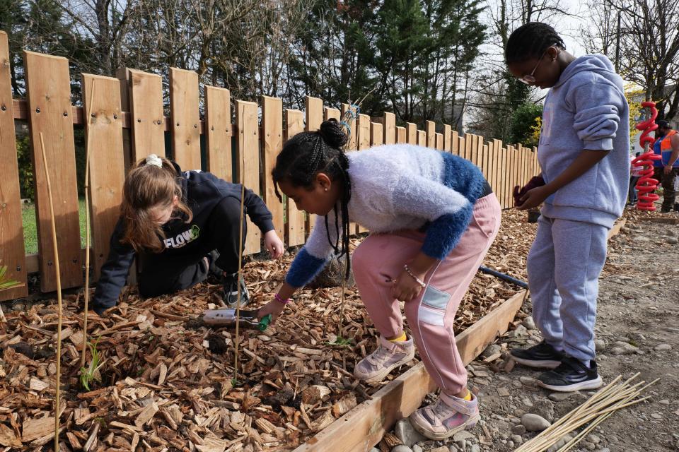 22 élèves de CE2 de l'école Marat ont planté des vivaces le long du corridor.