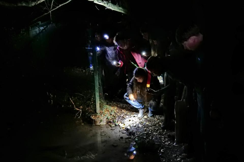 Une quinzaine de participants ont suivi la guide nature de nuit dans la Frange verte.