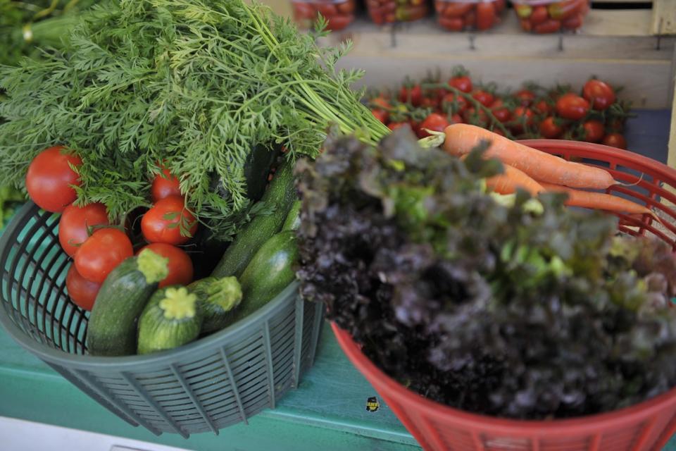 Vue sur des paniers remplis de légumes (tomates, courgettes, carottes, salade)